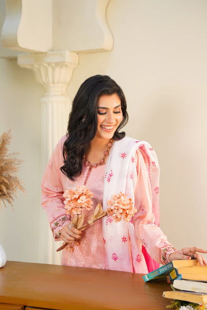 Virsa By Anaya Noor Chikenkari Lawn With Aplic 3PC