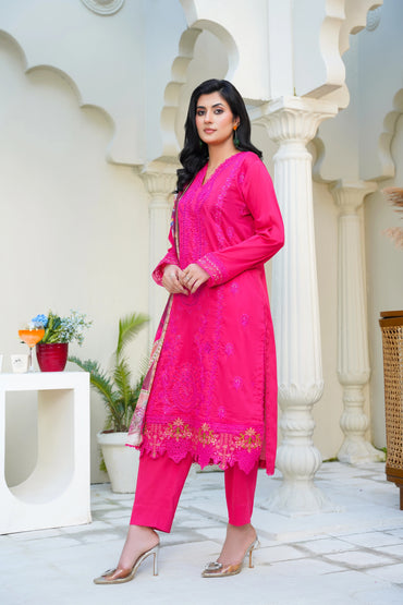 Virsa By Anaya Noor Chikenkari Lawn With Aplic 3PC