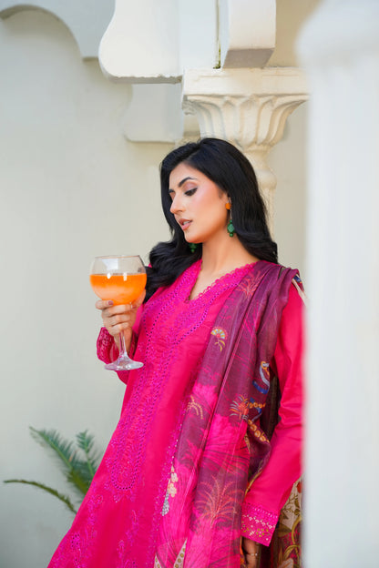 Virsa By Anaya Noor Chikenkari Lawn With Aplic 3PC