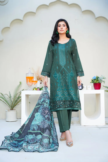 Virsa By Anaya Noor Chikenkari Lawn With Aplic 3PC