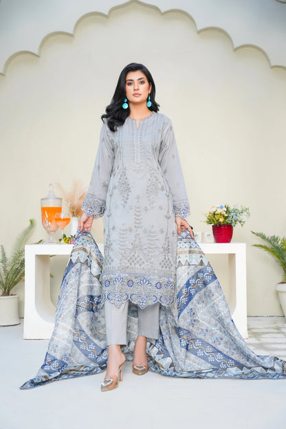 Virsa By Anaya Noor Chikenkari Lawn With Aplic 3PC