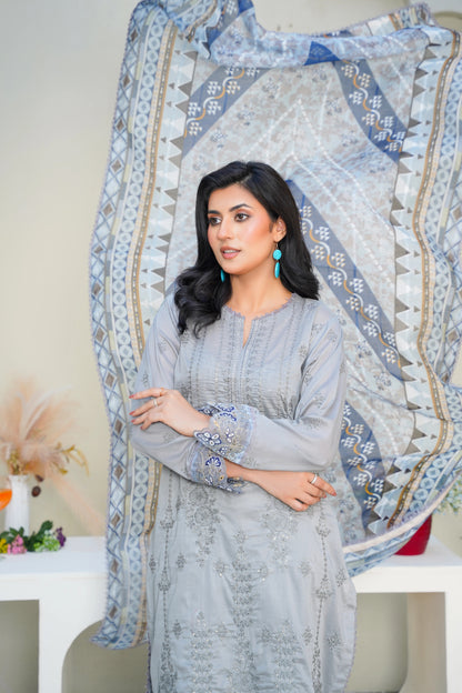 Virsa By Anaya Noor Chikenkari Lawn With Aplic 3PC