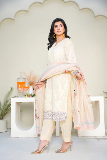 Virsa By Anaya Noor Chikenkari Lawn With Aplic 3PC