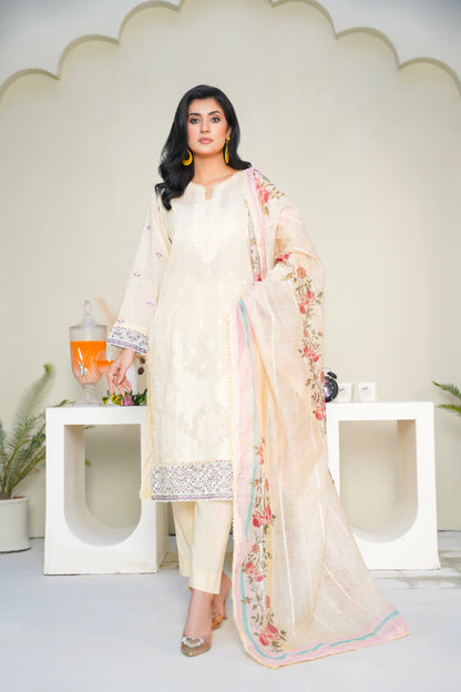 Virsa By Anaya Noor Chikenkari Lawn With Aplic 3PC
