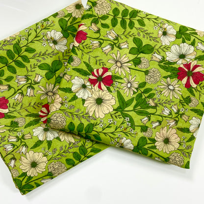 ( Bundle of 12 ) Anaya Noor