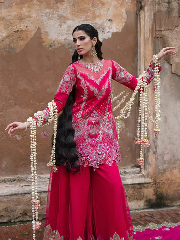 Ranibagh | Parishay | Luxury organza