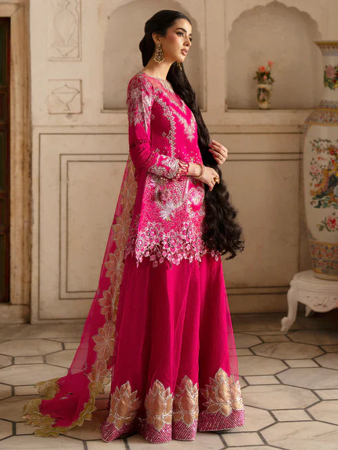 Ranibagh | Parishay | Luxury organza