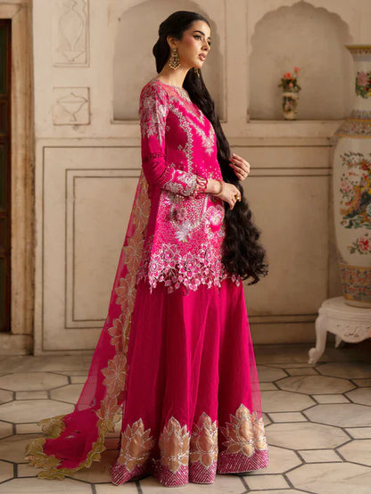 Ranibagh | Parishay | Luxury organza