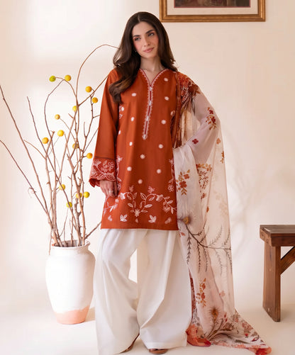 Rumi Plain Embroidered Dhanak 3PC