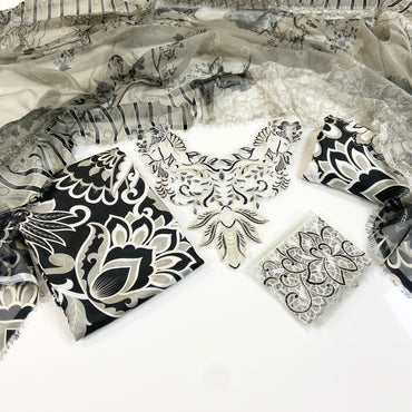 Asifa Nabeel Shamoz Silk With Emb Patches 3PC