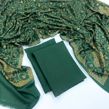 Anaya Noor Pashmina With Kacha tanka Shawl 3PC