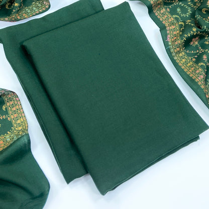 Anaya Noor Pashmina With Kacha tanka Shawl 3PC