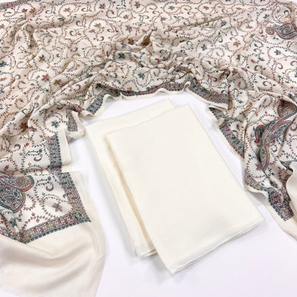 Anaya Noor Pashmina With Kacha tanka Shawl 3PC
