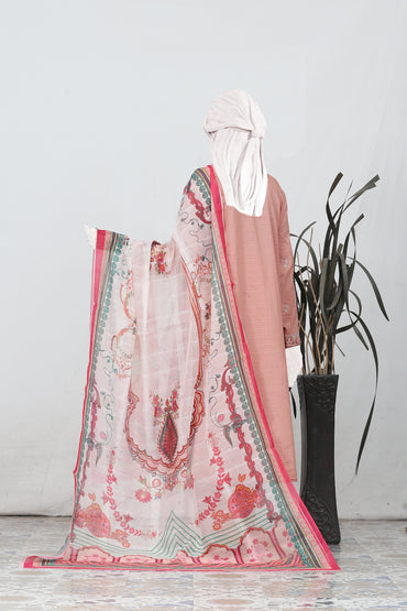 Zarqash By Anaya Noor Bana Dora Emb 3PC