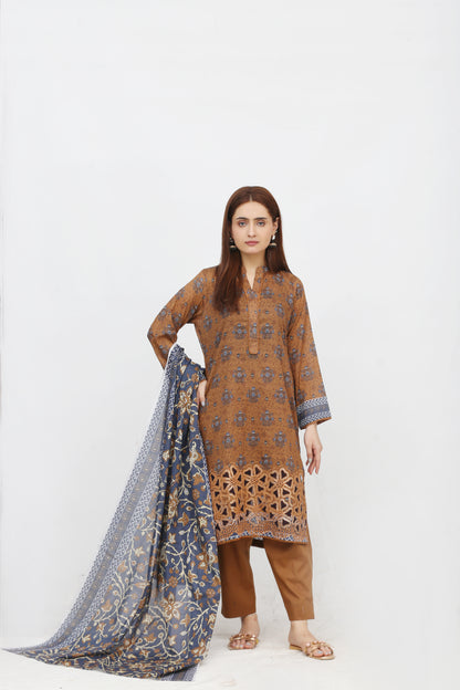 Phoolkari By Anaya Noor Printed Bana Dora Lawn 3PC