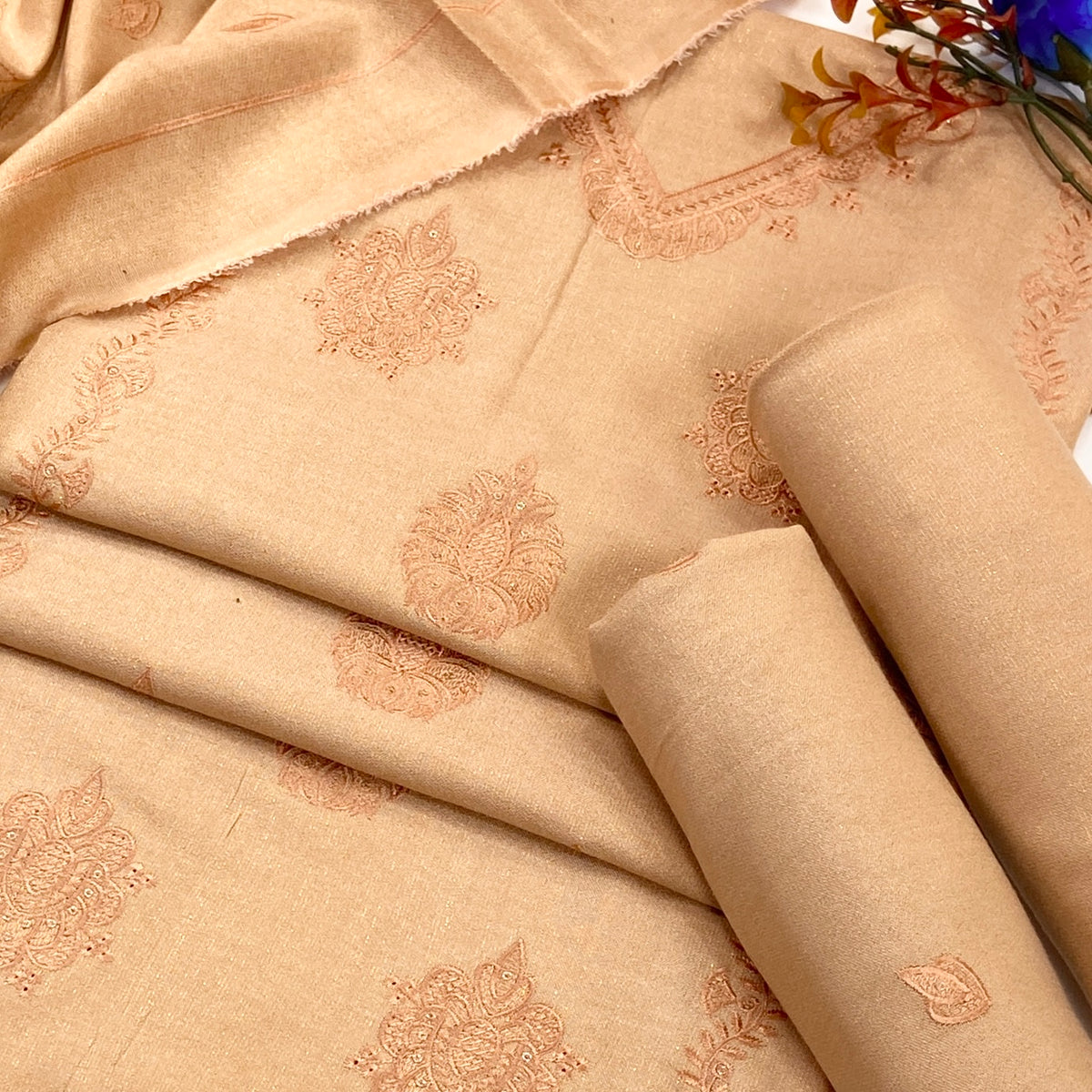 Chamki Fancy Light Emb Wool Peach 3PC