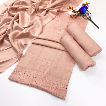 Chamki Fancy Light Emb Wool Peach 3PC