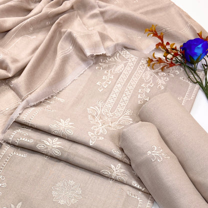 Chamki Fancy Light Emb Wool Peach 3PC