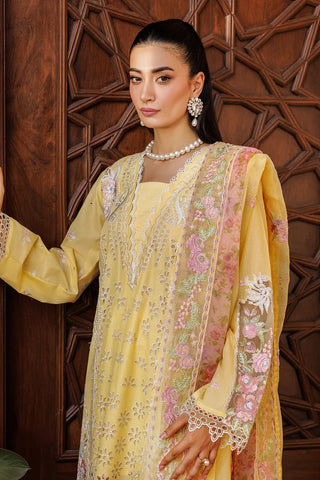 Rajbari Luxury Emb Lawn-3PC