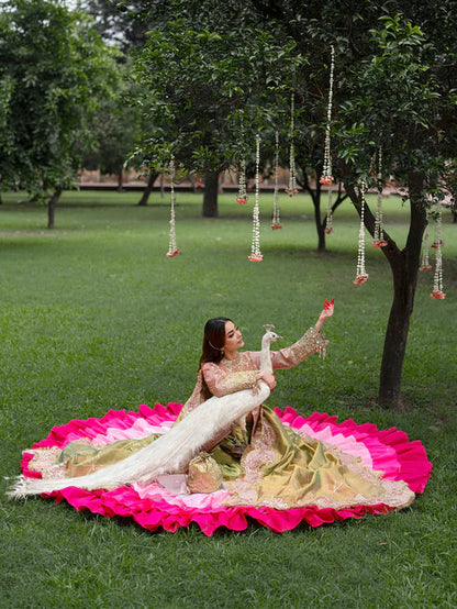 Ranibagh | Parishay | Luxury organza