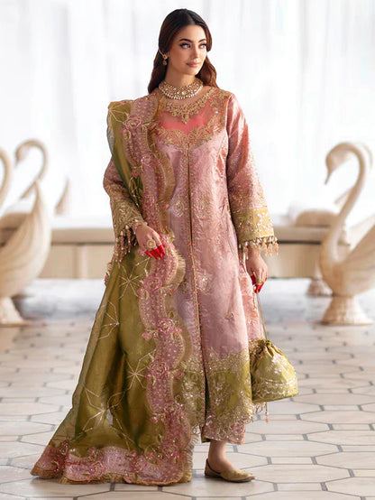 Ranibagh | Parishay | Luxury organza