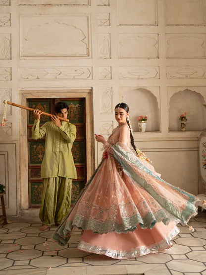 Ranibagh | Parishay | Luxury organza