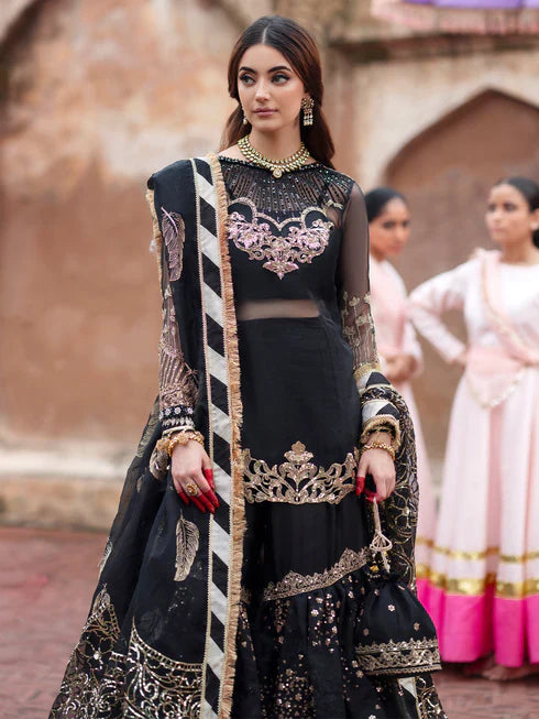 Ranibagh | Parishay | Luxury organza
